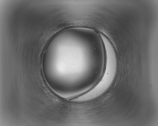 X0000062920673200601271806