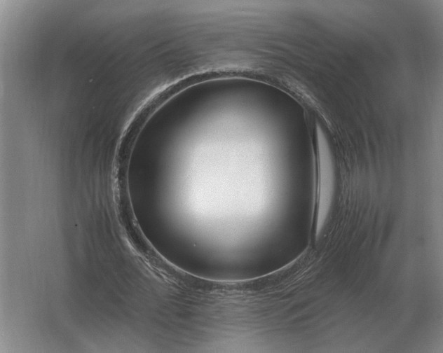 X0000062920676200601271806