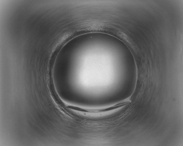 X0000062920677200601271806