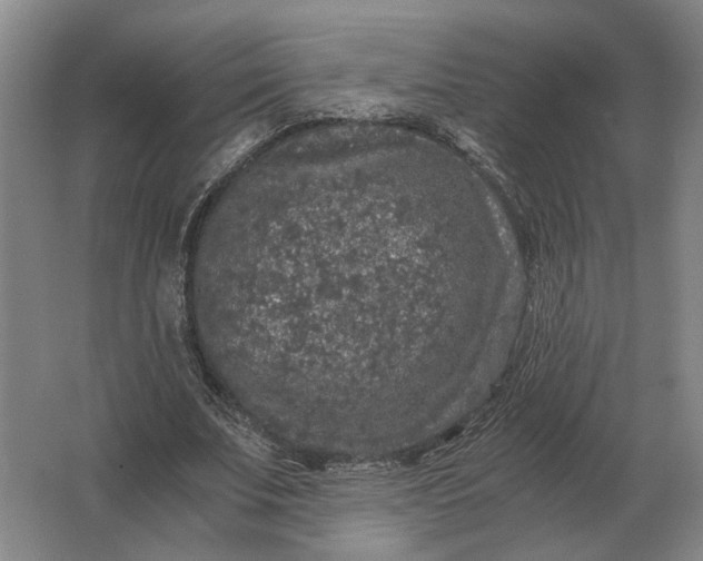 X0000062920679200601271806