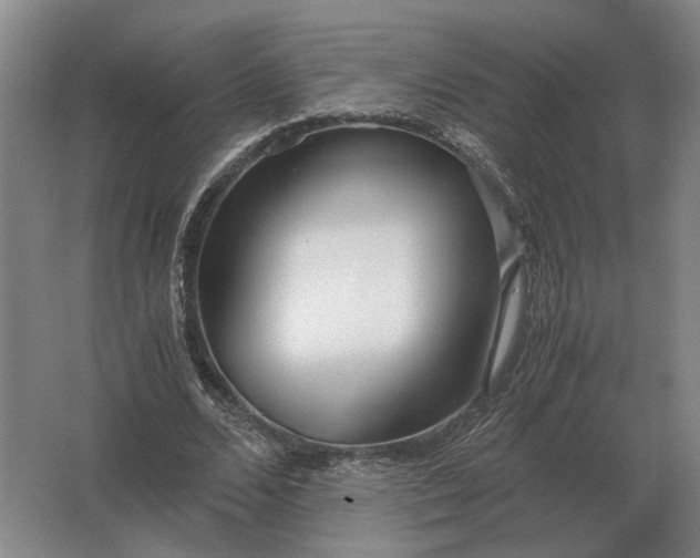 X0000062920680200601271806