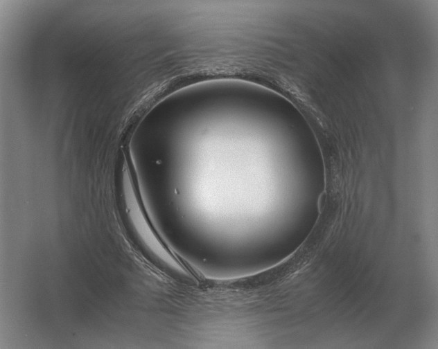 X0000062920681200601271806