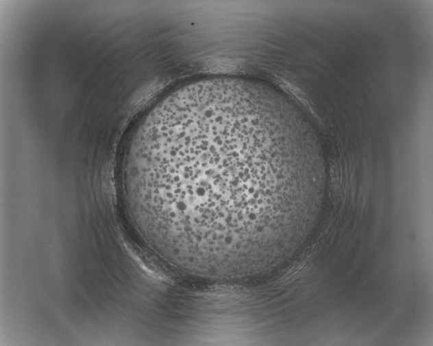 X0000062920682200601271806