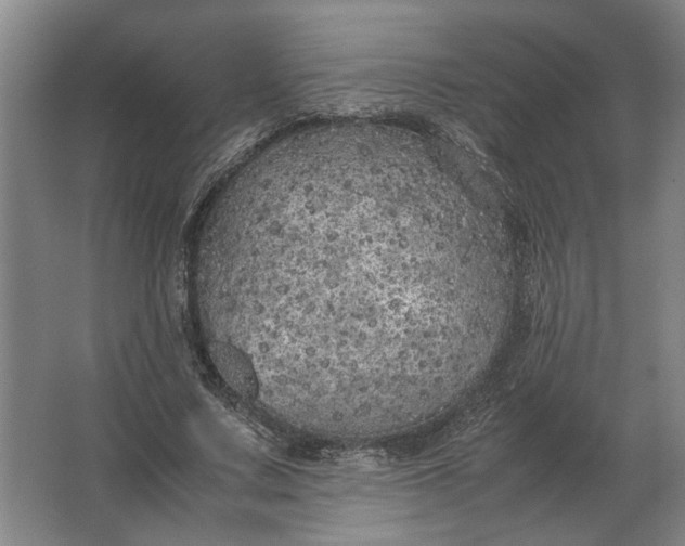 X0000062920683200601271806