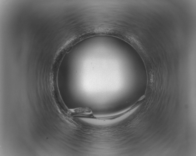 X0000062920684200601271806