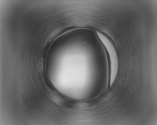 X0000062920685200601271806