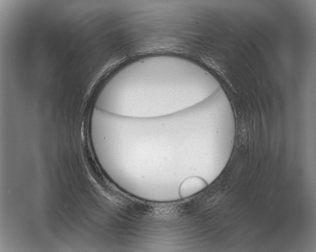 X0000062920686200601271806