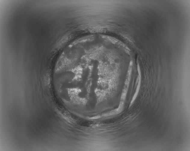 X0000062920687200601271806