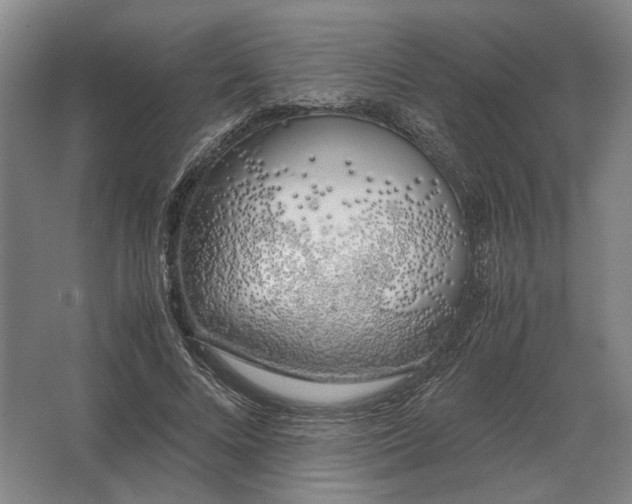 X0000062920688200601271806