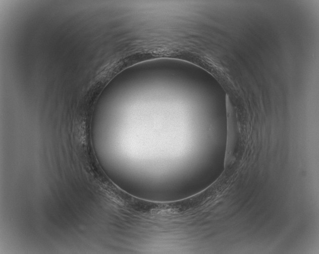 X0000062920689200601271806