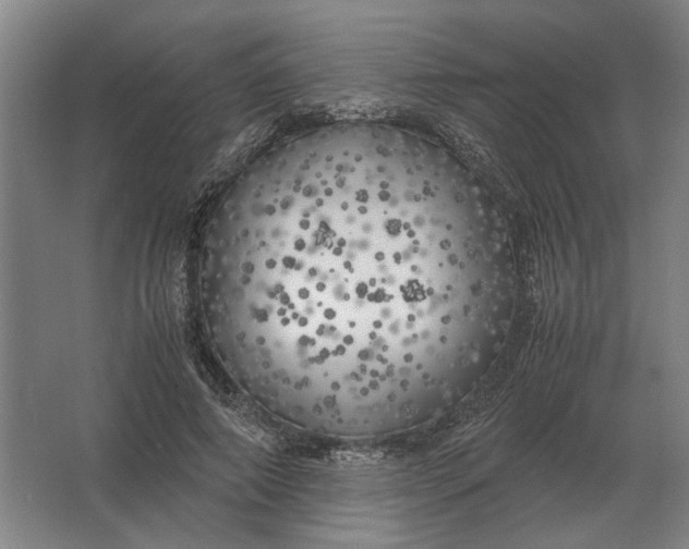 X0000062920690200601271806