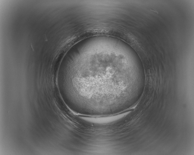 X0000062920692200601271806