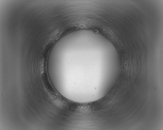 X0000062920694200601271806