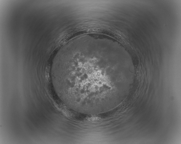 X0000062920695200601271806