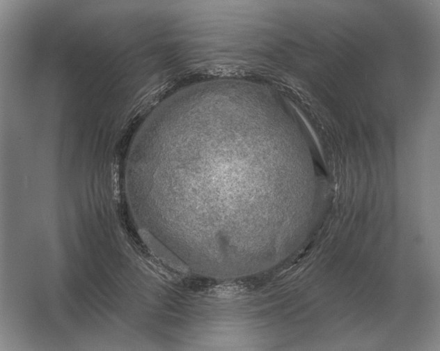 X0000062920696200601271805