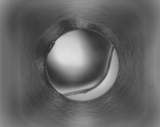 X0000062920697200601271805