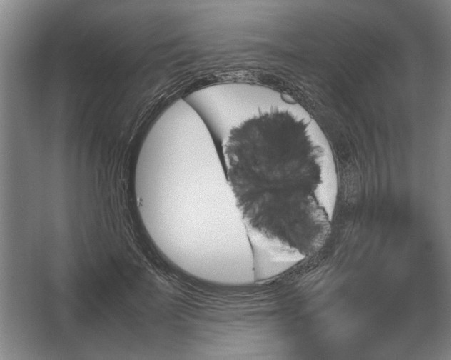 X0000062920699200601271805