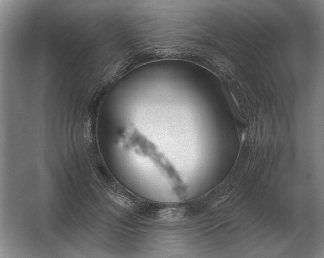 X0000062920700200601271805