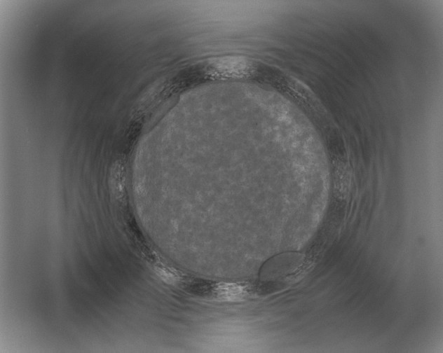 X0000062920701200601271805