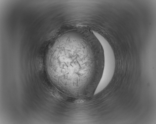 X0000062920704200601271805