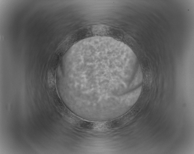 X0000062920705200601271805