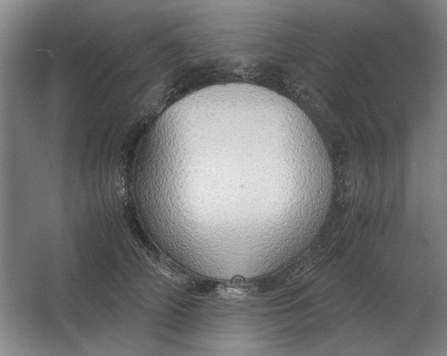 X0000062920706200601271805