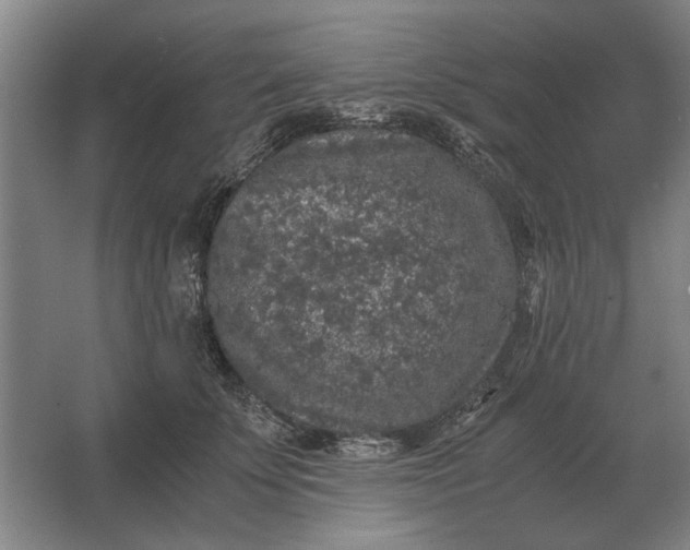 X0000062920707200601271805