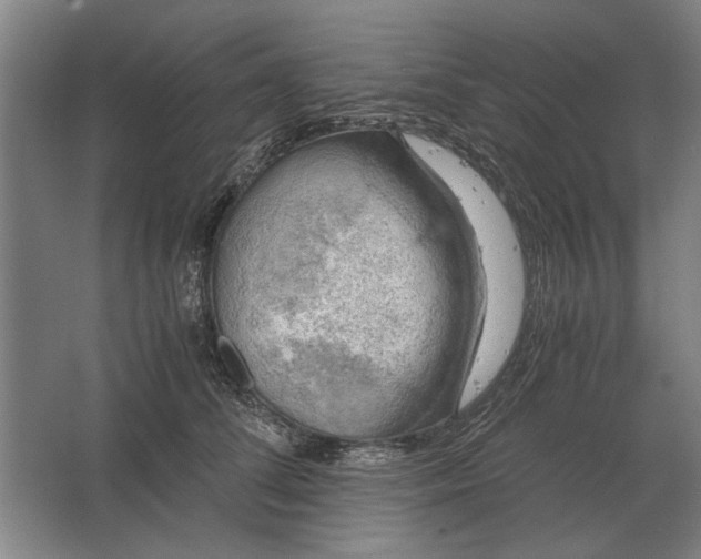 X0000062920708200601271805