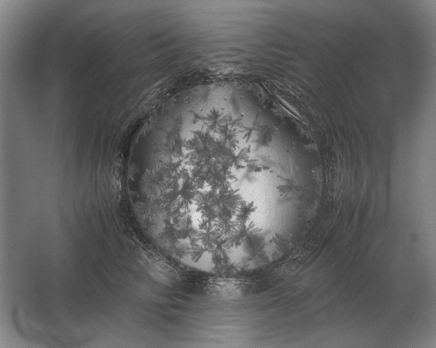 X0000062920710200601271805