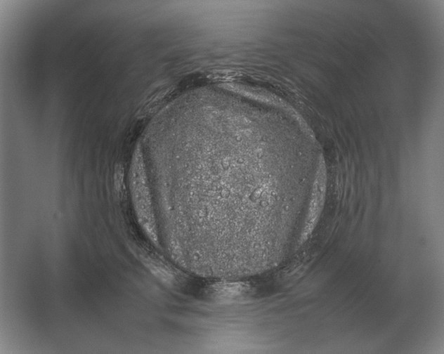 X0000062920711200601271805