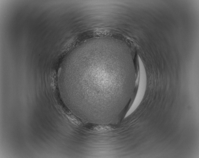 X0000062920712200601271805