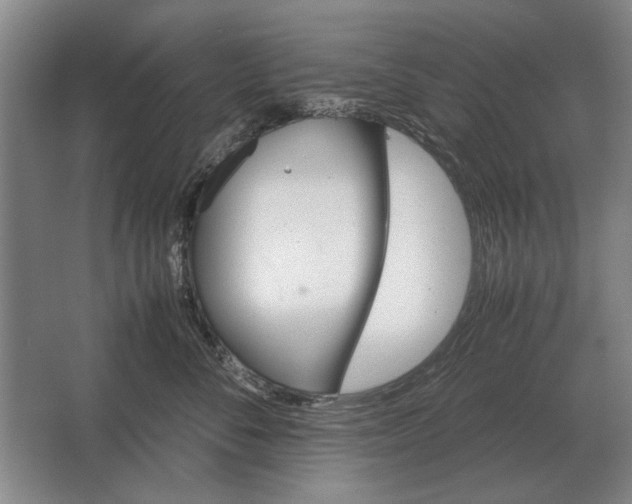 X0000062920716200601271805