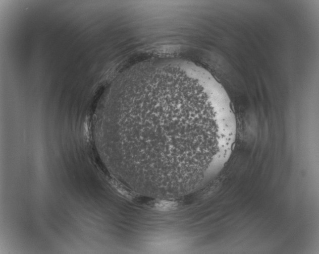 X0000062920718200601271805