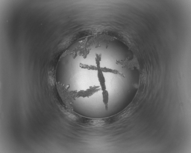 X0000062920719200601271805