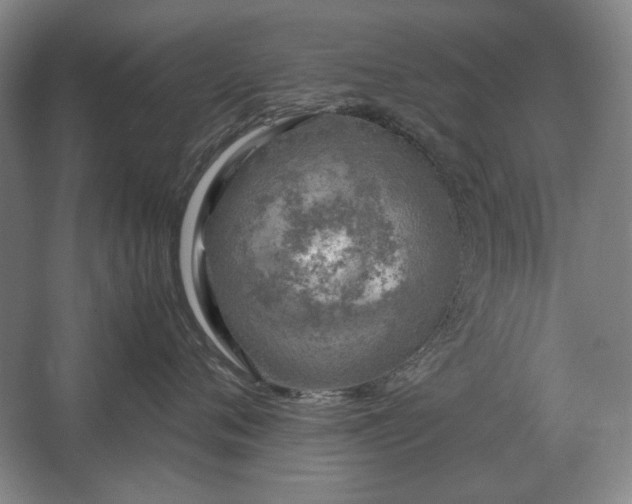 X0000062920720200601271805