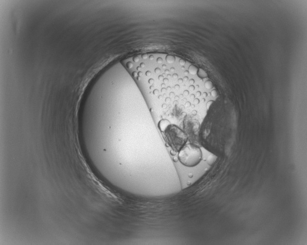 X0000062920721200601271804