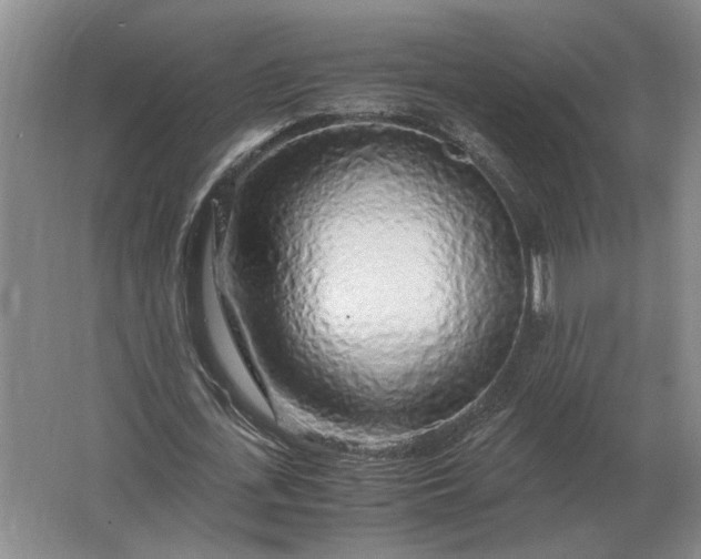 X0000062920723200601271804