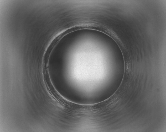 X0000062920724200601271804