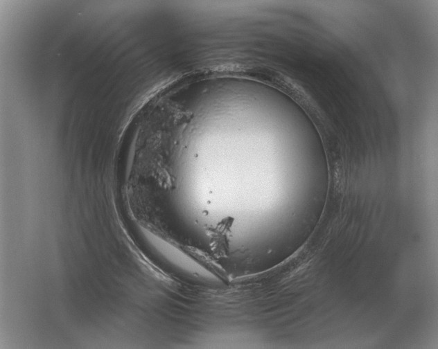 X0000062920725200601271804