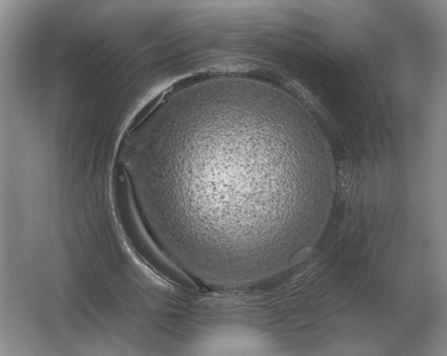 X0000062920726200601271804