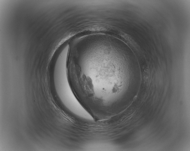 X0000062920727200601271804