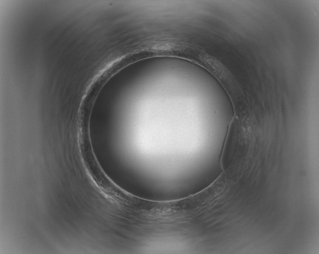 X0000062920728200601271804