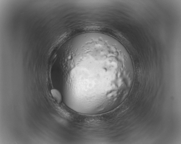 X0000062920729200601271804