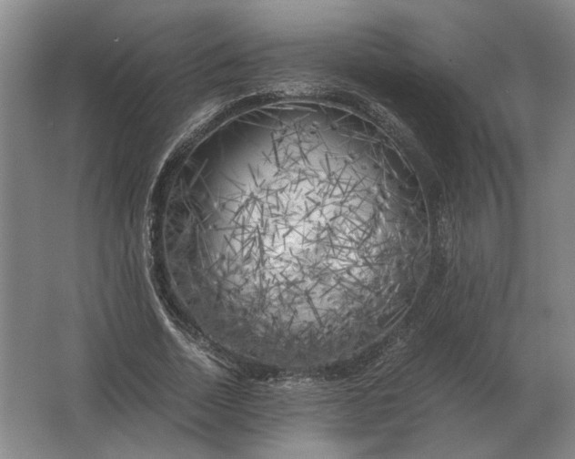 X0000062920730200601271804