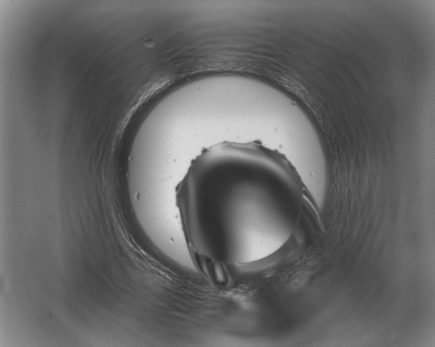 X0000062920731200601271804