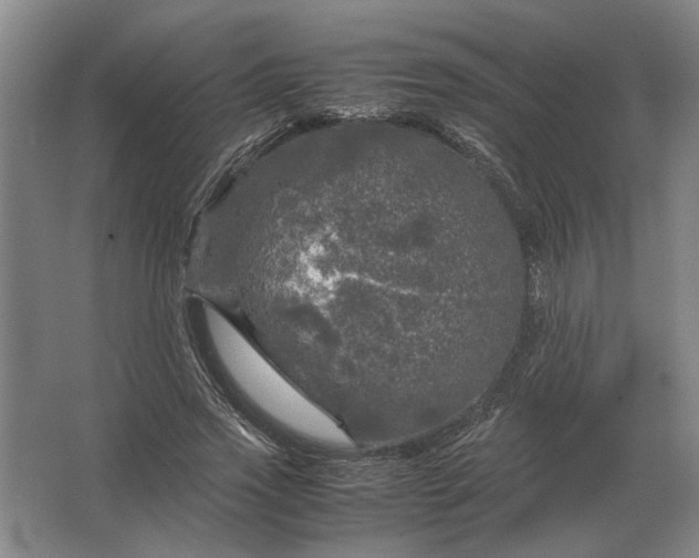 X0000062920733200601271804