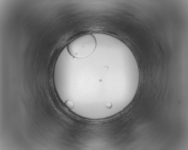 X0000062920734200601271804