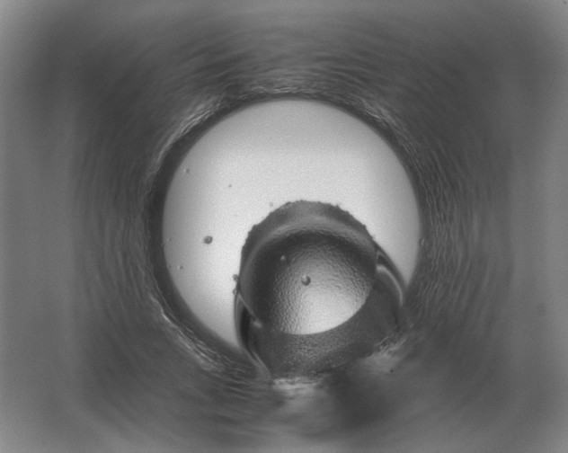 X0000062920735200601271805