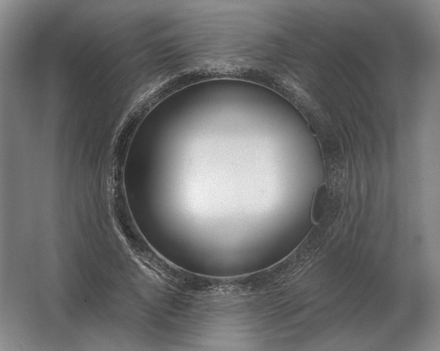 X0000062920736200601271805