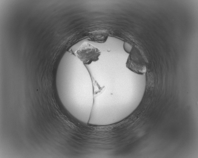 X0000062920737200601271805